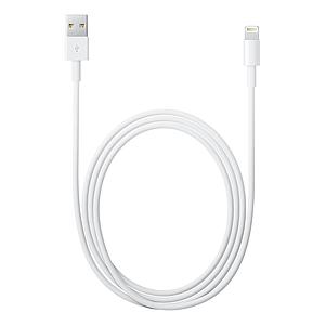 Apple Lightning to USB Cable